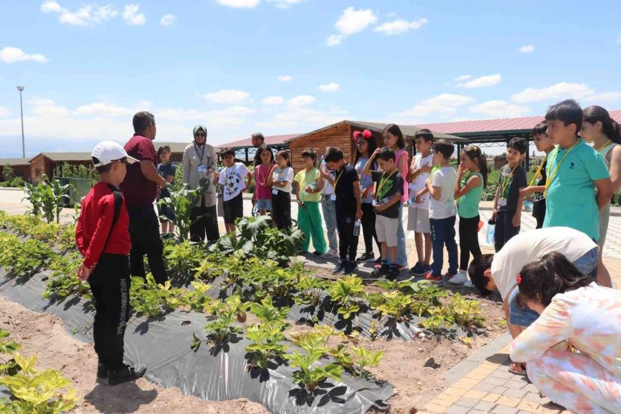 Büyükşehir’in Bilim Kampları Coşkulu Başladı