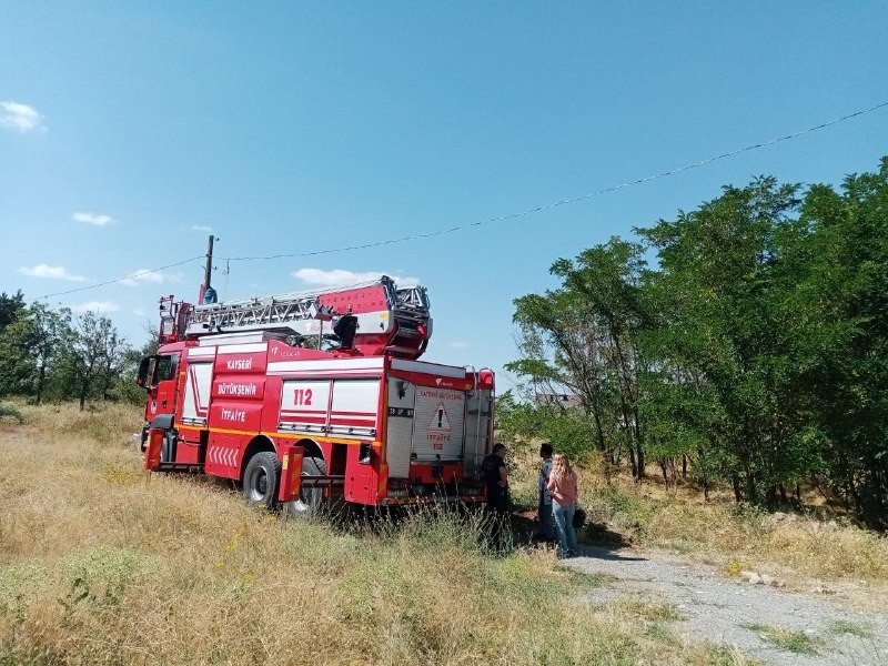 Pisti Pas Geçti, Elektrik Direğinde Asılı Kaldı