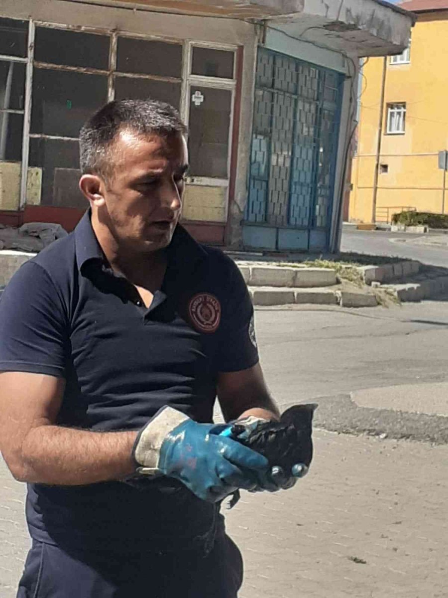 Ağaçta Asılı Kalan Kargayı İtfaiye Kurtardı