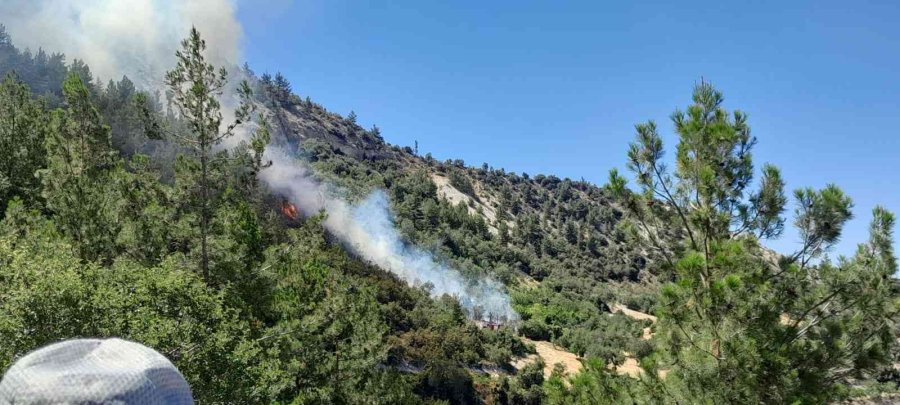 Karaman’da Çıkan Orman Yangını Kısa Sürede Kontrol Altına Alındı