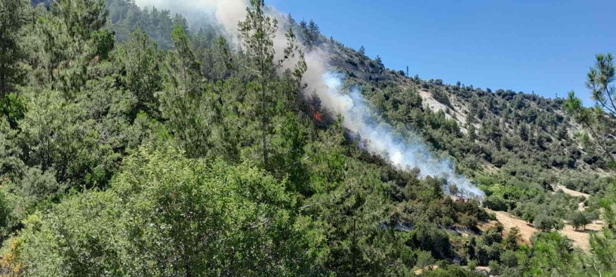 Karaman’da Çıkan Orman Yangını Kısa Sürede Kontrol Altına Alındı