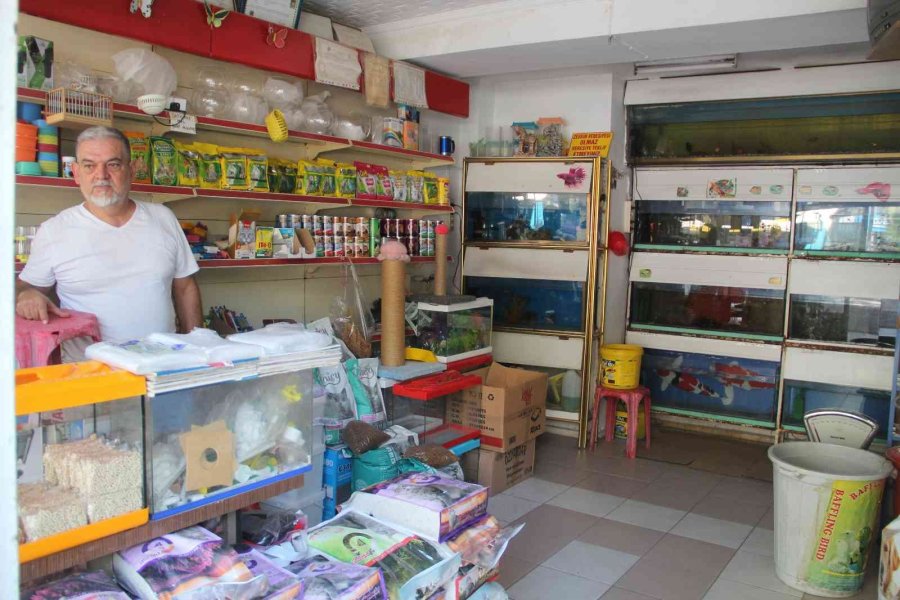 Petshoplar Kasaplar Odası’na Bağlandı