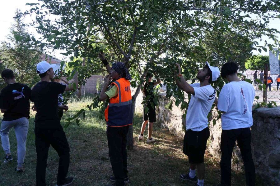 Aksaray’da “köyümde 3 Gün” Etkinliği Başladı