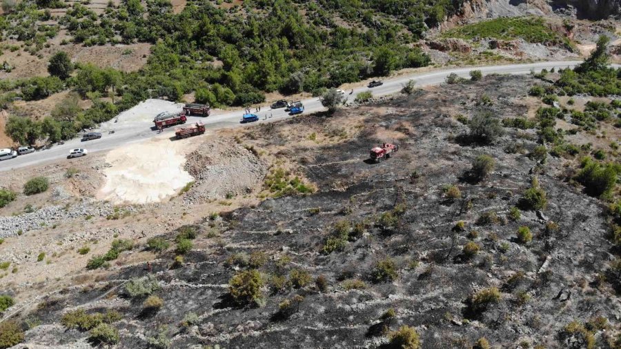 Tarladan Makilik Alana Sıçrayan Yangın Ormana Ulaşmadan Söndürüldü