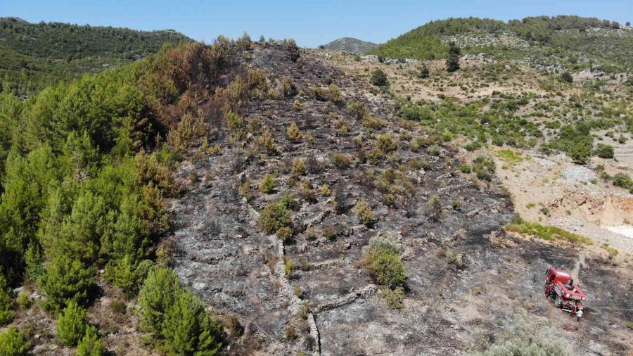 Tarladan Makilik Alana Sıçrayan Yangın Ormana Ulaşmadan Söndürüldü
