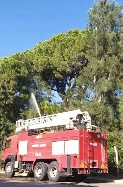 Turizm Bölgesindeki Yangın Golf Sahasına Sıçradı