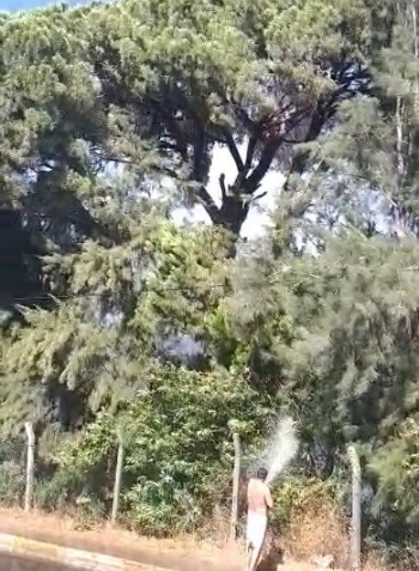 Turizm Bölgesindeki Yangın Golf Sahasına Sıçradı