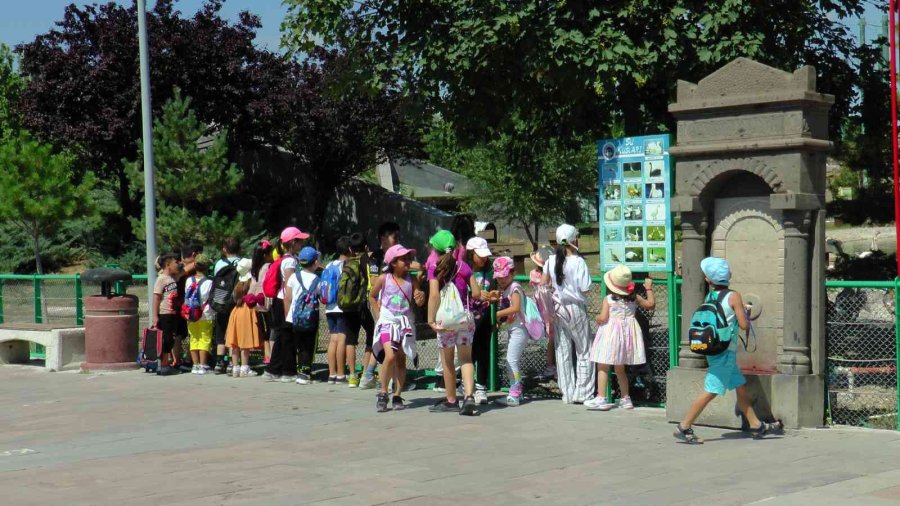 Hayvanların Sıcak Havada ‘buz Kokteyli’ Keyfi