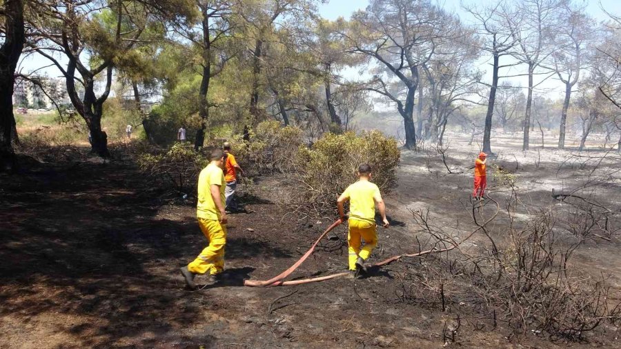 Antalya’da Çamlık Alandaki Yangın Kontrol Altına Alındı