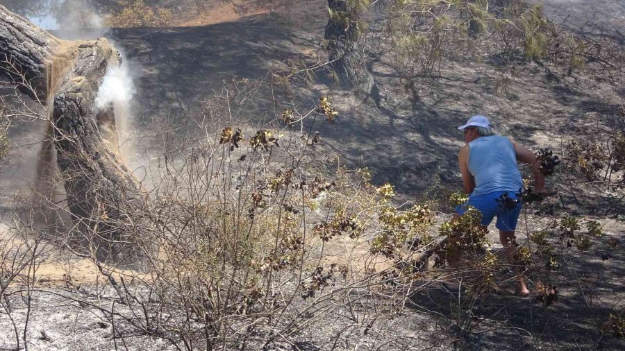 Antalya’da Çamlık Alandaki Yangın Kontrol Altına Alındı