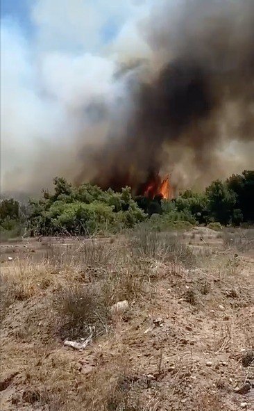 Antalya’da Orman Yangını