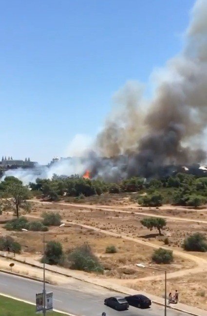 Antalya’da Orman Yangını