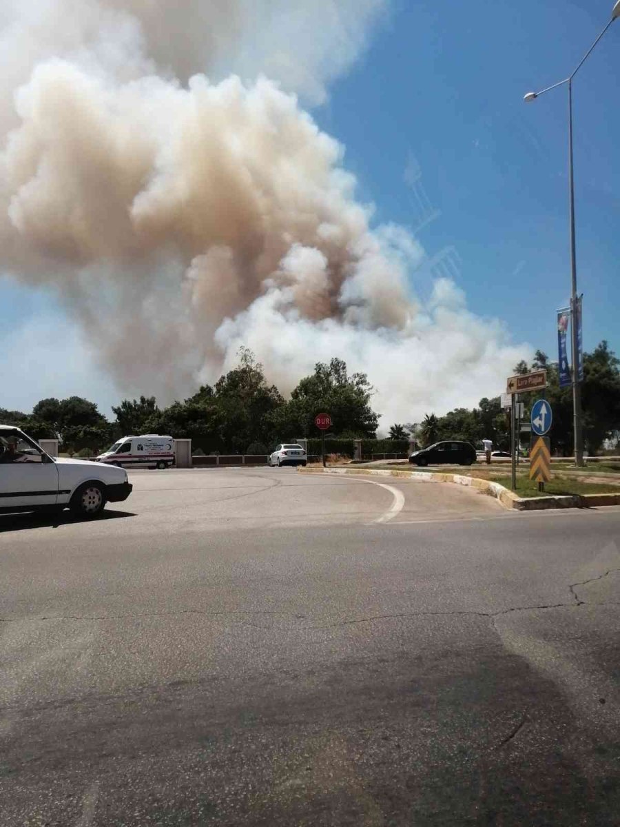 Antalya’da Orman Yangını