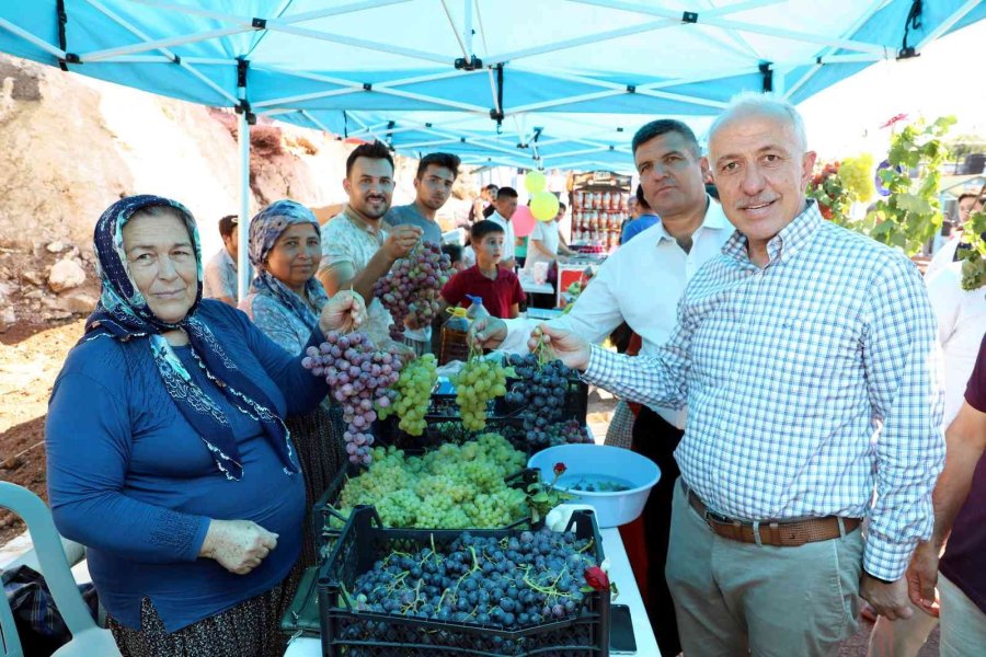 Mersin’de ’üzüm Şenliği’ Coşkusu