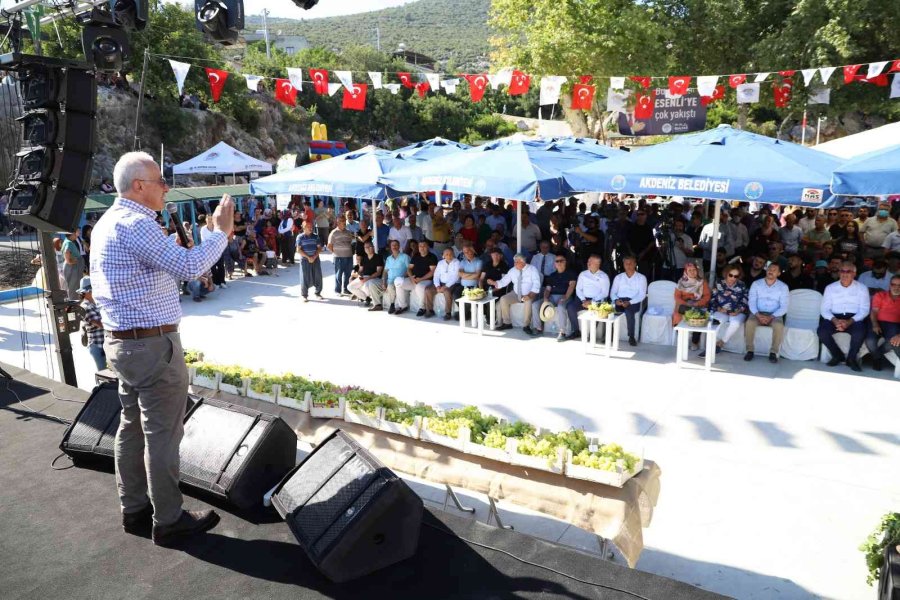 Mersin’de ’üzüm Şenliği’ Coşkusu