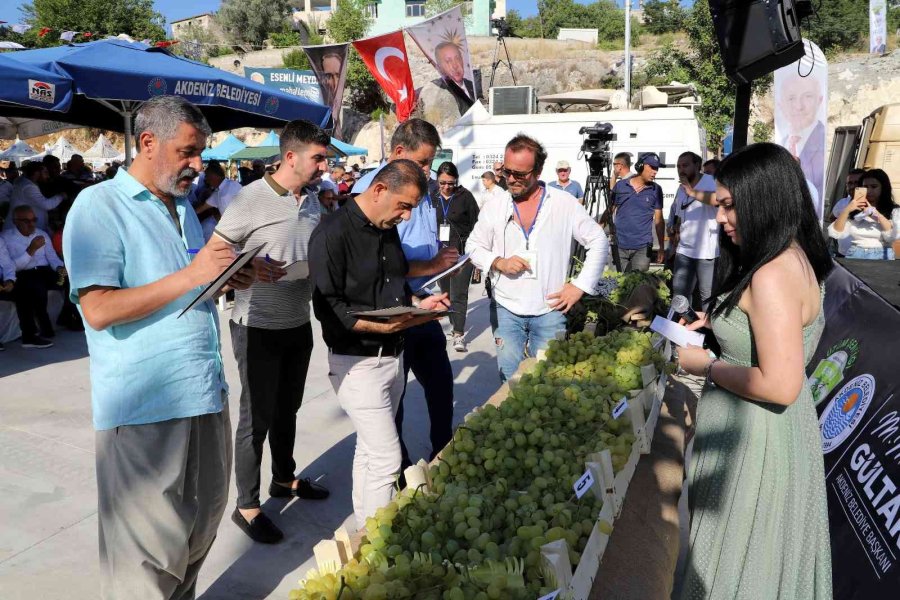 Mersin’de ’üzüm Şenliği’ Coşkusu