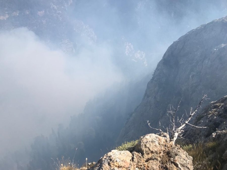 Mersin’de Orman Yangınına Müdahale Sürüyor