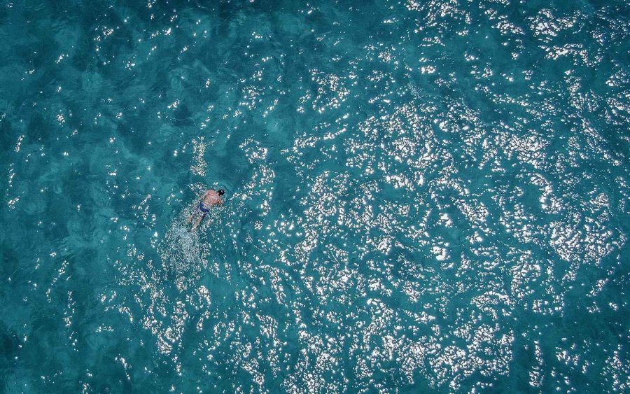 Pandemi İşsiz Kalan Şoförün Hayatını Değiştirdi, Şimdi Paraya Para Demiyor