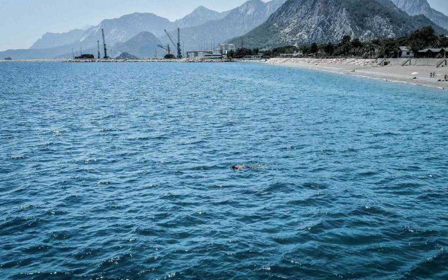 Pandemi İşsiz Kalan Şoförün Hayatını Değiştirdi, Şimdi Paraya Para Demiyor