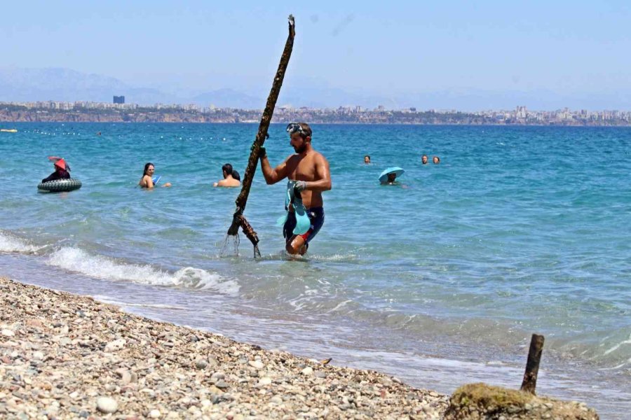 Pandemi İşsiz Kalan Şoförün Hayatını Değiştirdi, Şimdi Paraya Para Demiyor