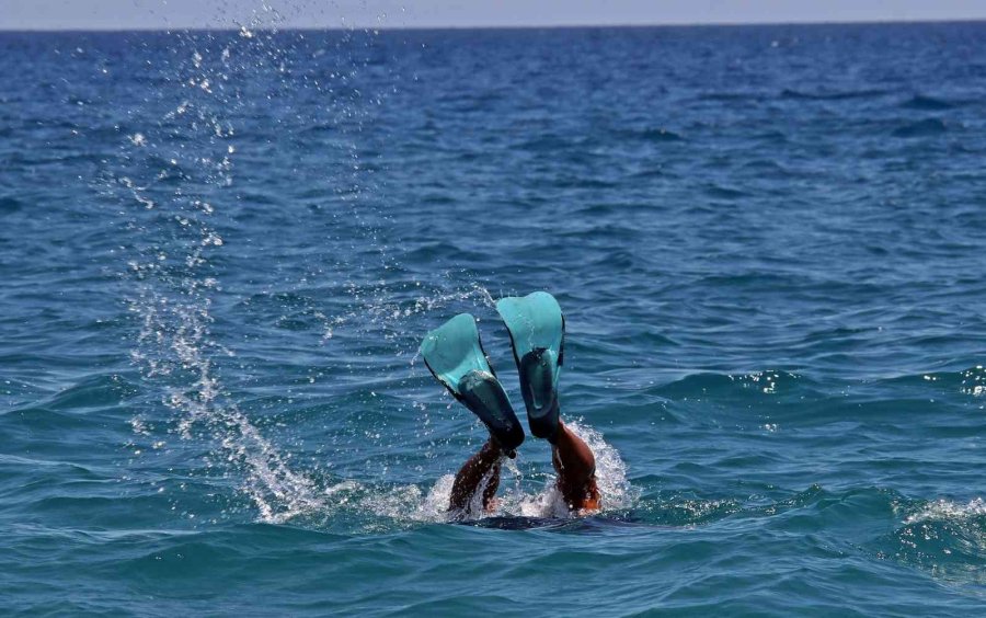 Pandemi İşsiz Kalan Şoförün Hayatını Değiştirdi, Şimdi Paraya Para Demiyor