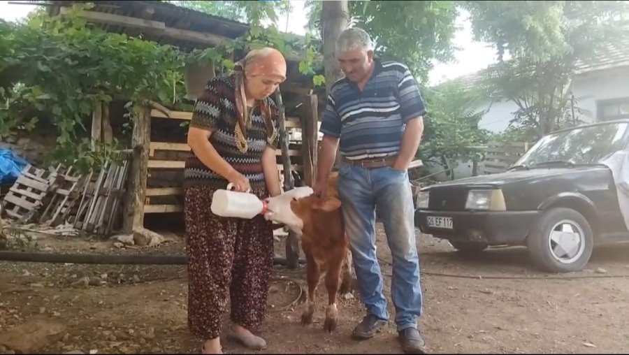 Egemen’inin Adeta Gözleri Oldular