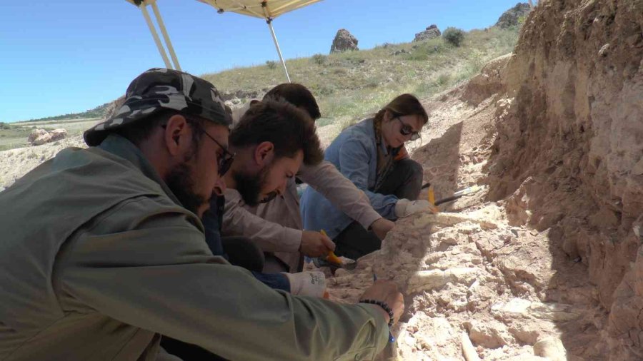 7.5 Milyon Yıllık Tarih Gün Yüzüne Çıkıyor