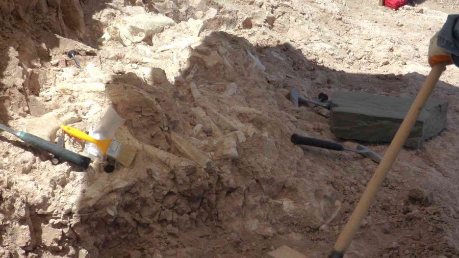 7.5 Milyon Yıllık Tarih Gün Yüzüne Çıkıyor