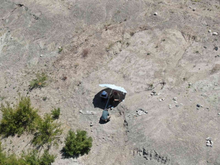 7.5 Milyon Yıllık Tarih Gün Yüzüne Çıkıyor