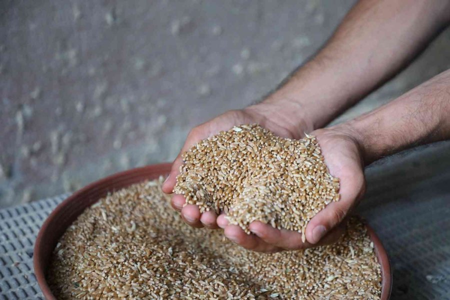 Başkan Altay: “atıl Arazileri Üretime Kazandırıyoruz, Geliri Sosyal Destekte Kullanıyoruz”