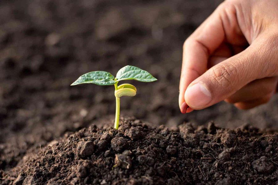 Rusya Ve Türkiye Tarımda Hedef Büyüttü