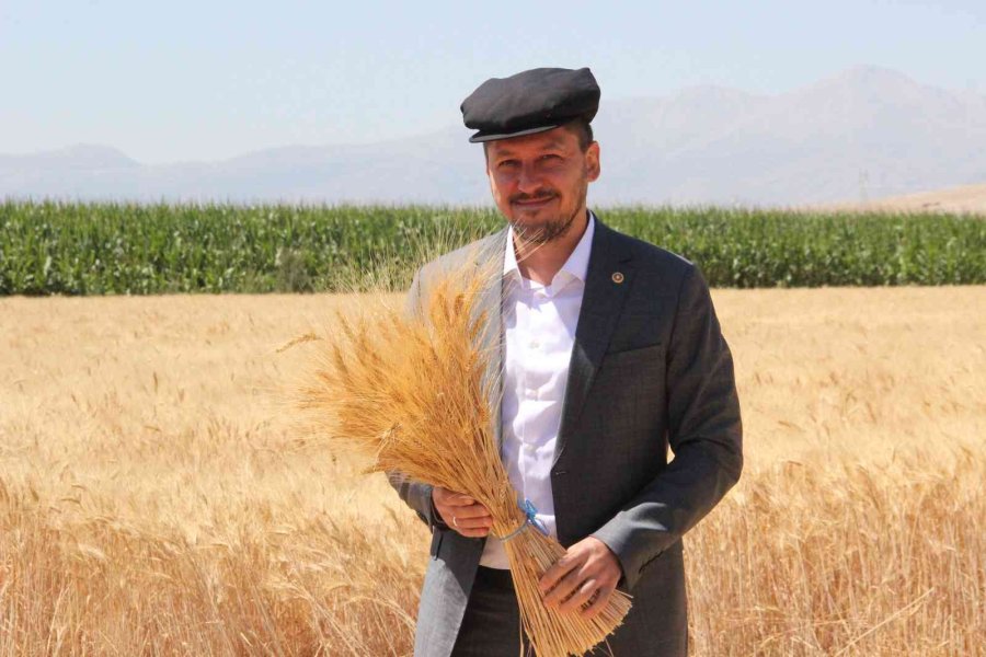 Karaman Ovasında Son Buğday Hasadı Yapıldı