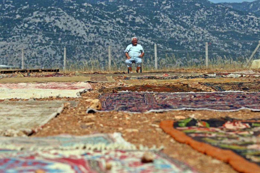 Antalya’da Tarlalarda Milyonluk ’organik Halı’ Nöbeti