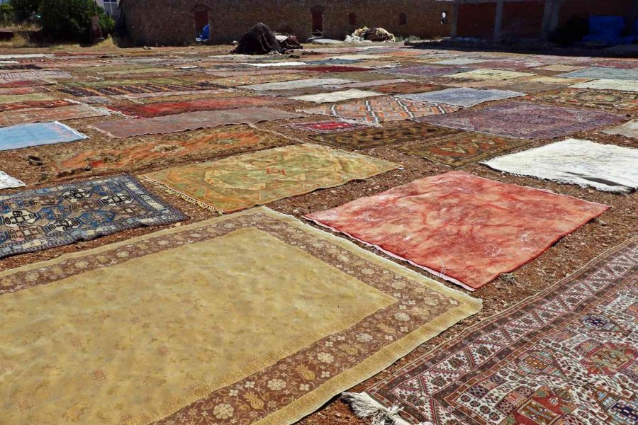 Antalya’da Tarlalarda Milyonluk ’organik Halı’ Nöbeti