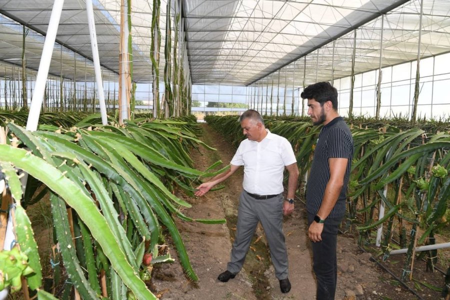 Vali Yazıcı: “tarımda Çeşitlilik Sağlayarak Dünya Pazarında Yeni Ürünlerle Yer Bulmalıyız”