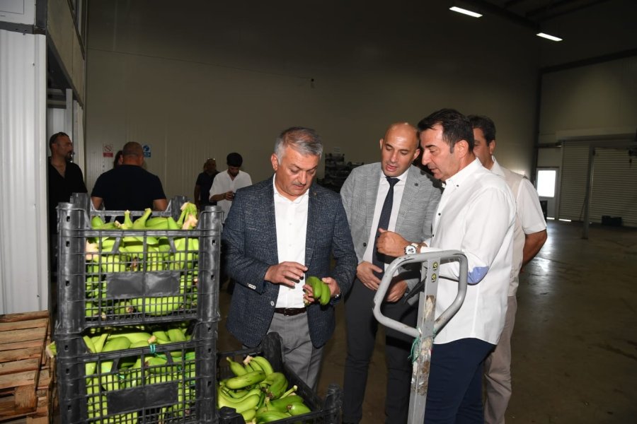 Vali Yazıcı: “tarımda Çeşitlilik Sağlayarak Dünya Pazarında Yeni Ürünlerle Yer Bulmalıyız”