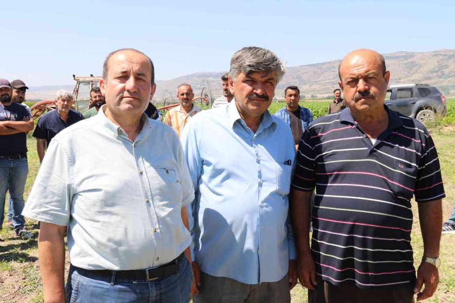 Aracılara Sinirlenip İstanbul’a 2 Gün Boyunca Ürün Göndermeyi Durdurdular