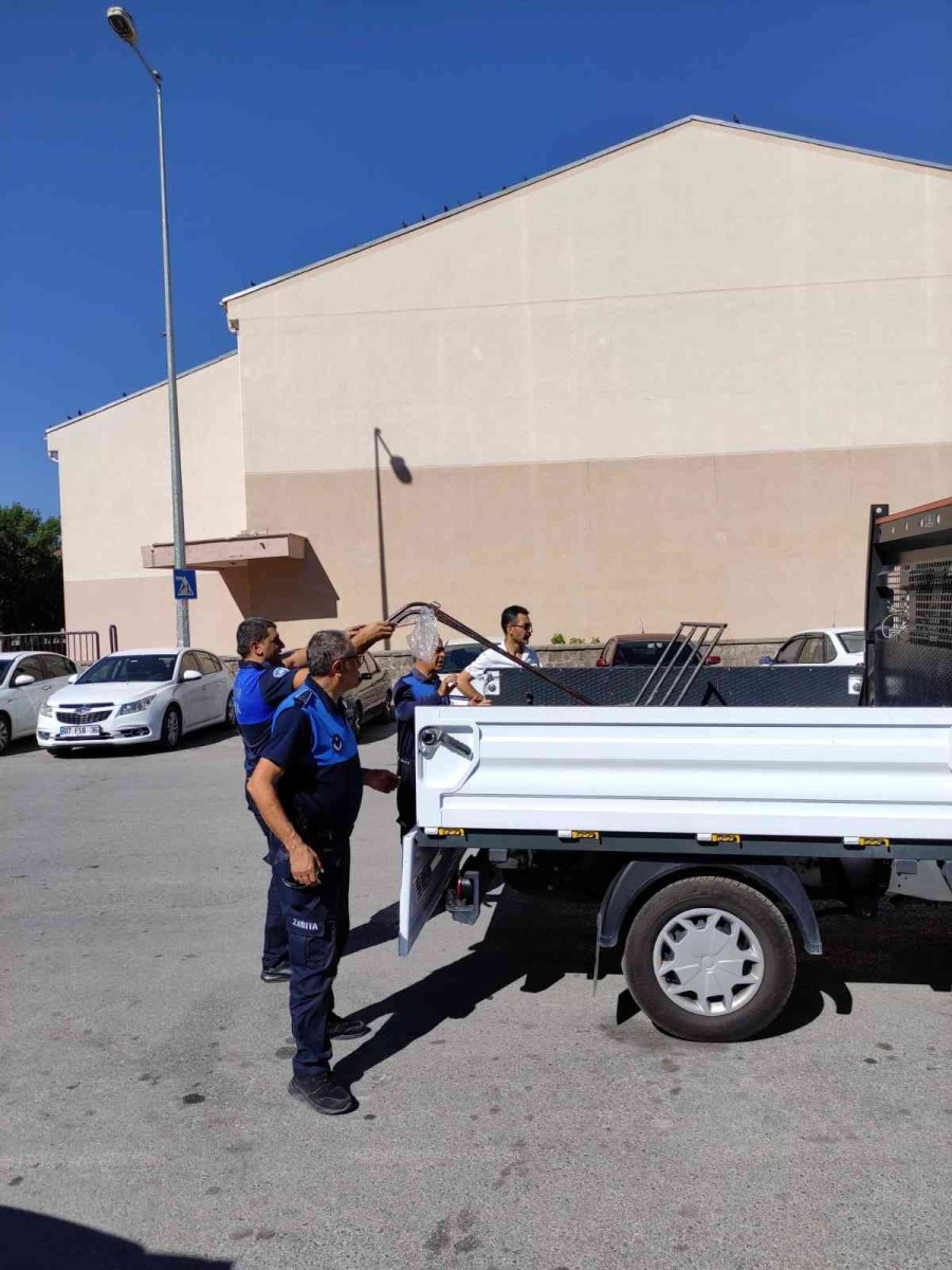 Çekçekçilere Denetim