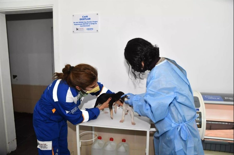 ’can Dostlar’ Sosyal Sorumluluk Projesi