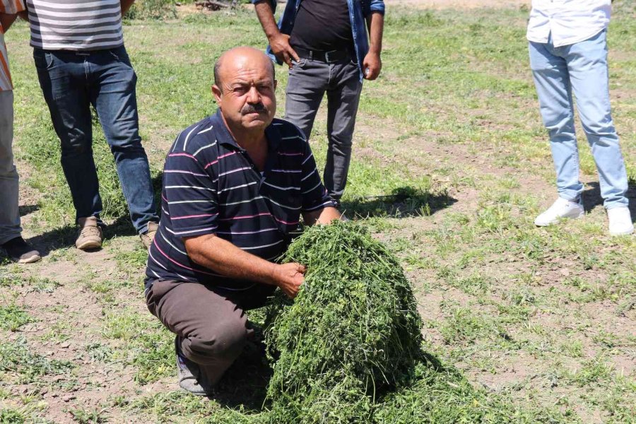 Aracılara Sinirlenip İstanbul’a 2 Gün Boyunca Ürün Göndermeyi Durdurdular