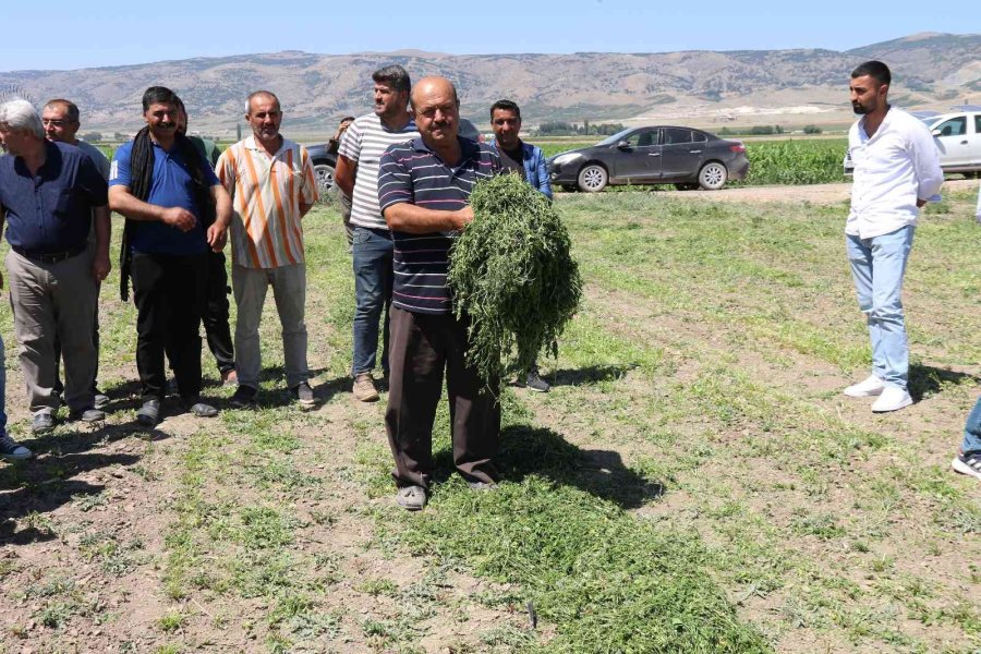 Aracılara Sinirlenip İstanbul’a 2 Gün Boyunca Ürün Göndermeyi Durdurdular