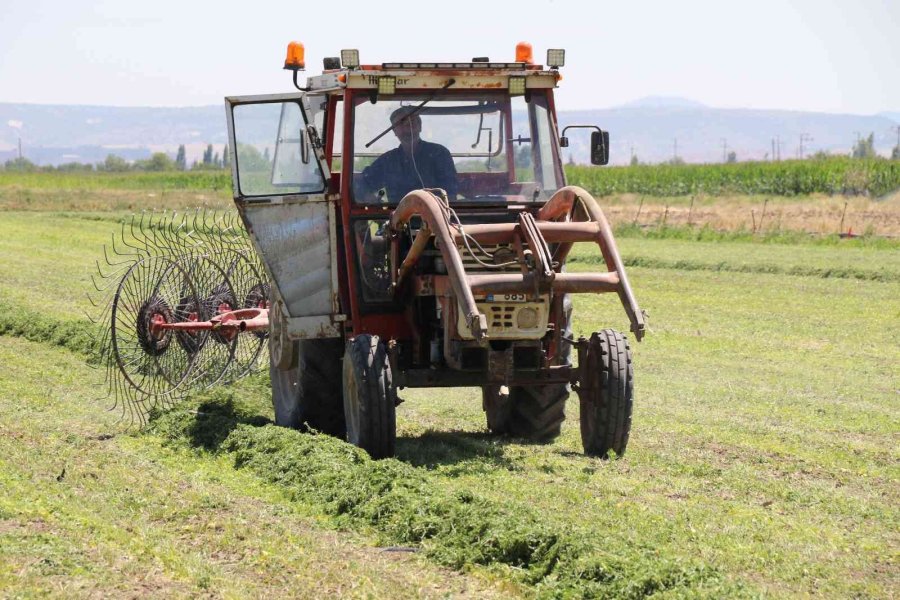 Aracılara Sinirlenip İstanbul’a 2 Gün Boyunca Ürün Göndermeyi Durdurdular