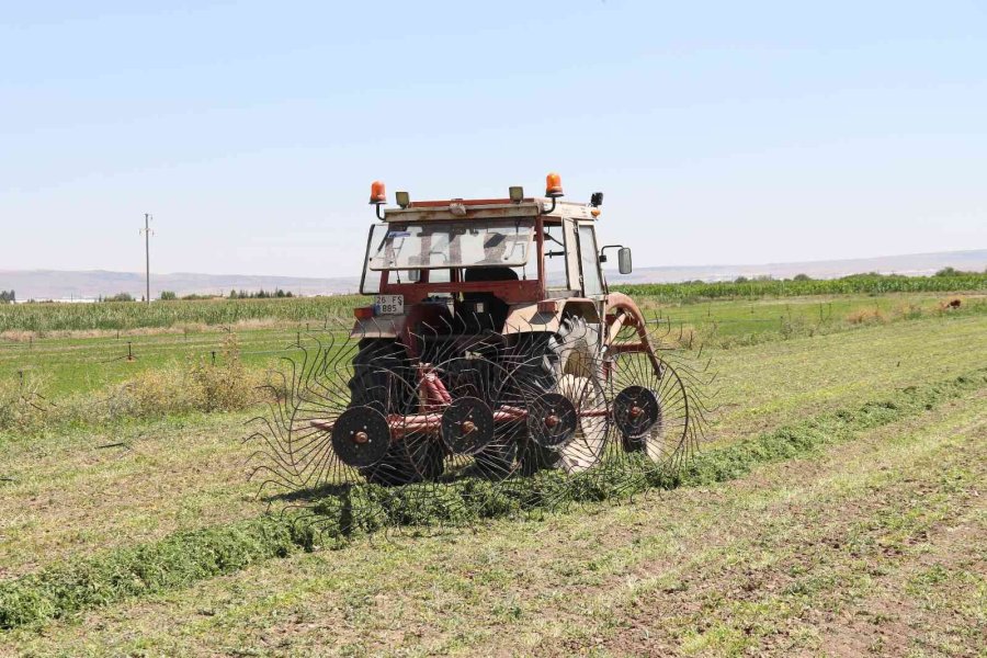 Aracılara Sinirlenip İstanbul’a 2 Gün Boyunca Ürün Göndermeyi Durdurdular
