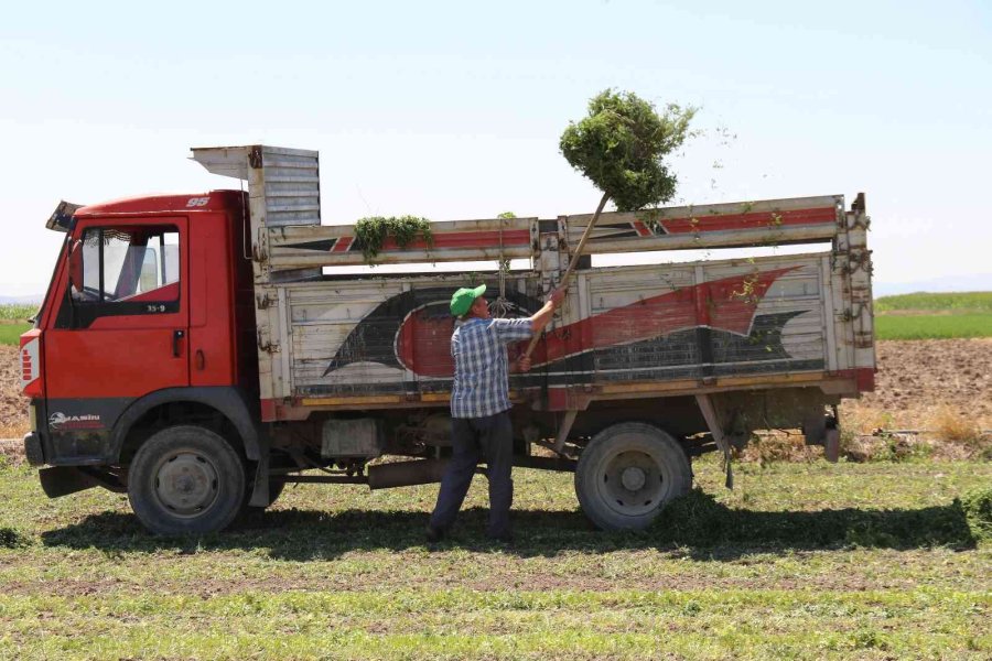 Aracılara Sinirlenip İstanbul’a 2 Gün Boyunca Ürün Göndermeyi Durdurdular