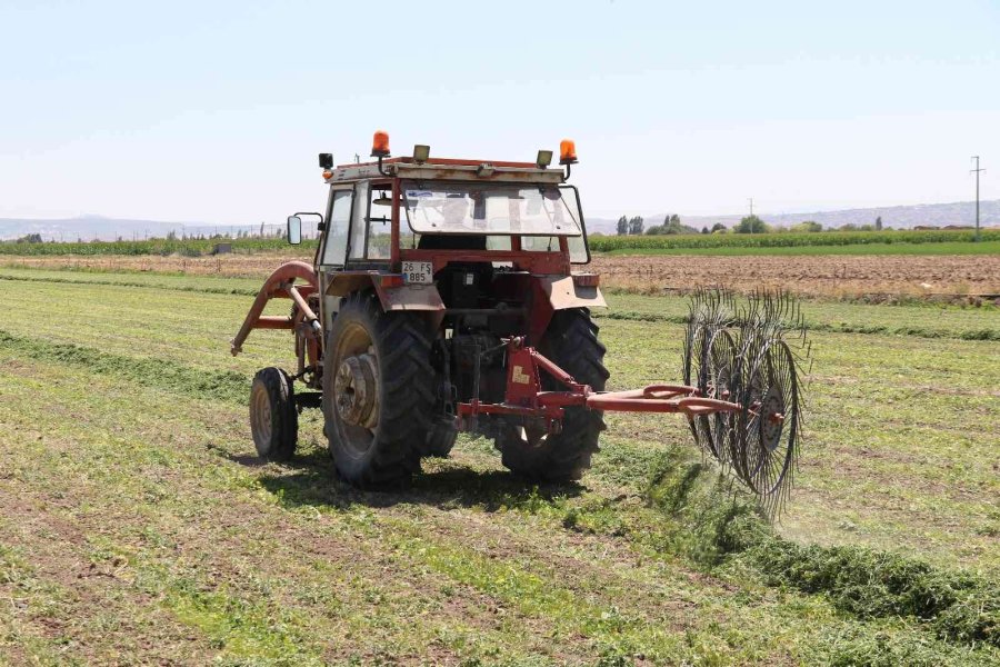 Aracılara Sinirlenip İstanbul’a 2 Gün Boyunca Ürün Göndermeyi Durdurdular