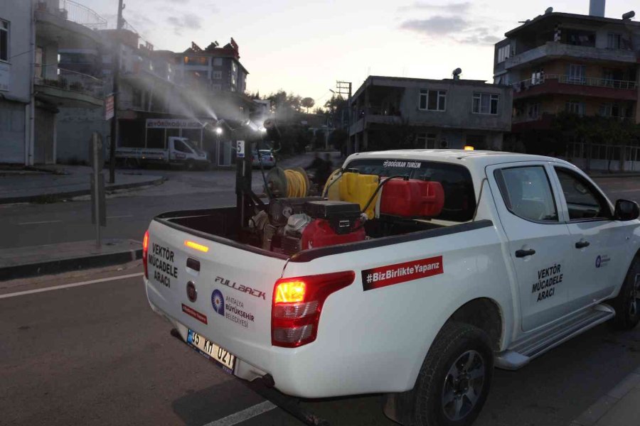 Sinek Ve Haşereyle Mücadele Sürüyor