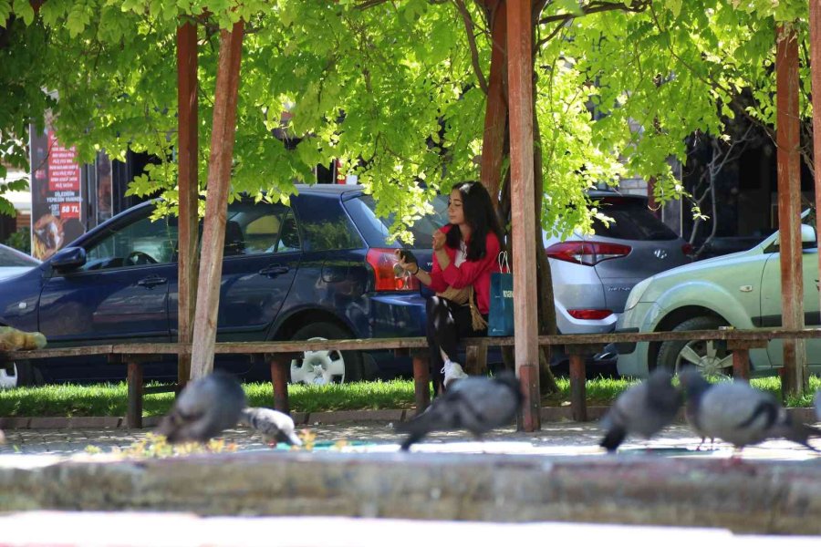 Sıcaktan Bunalan Soluğu Gölgede Aldı