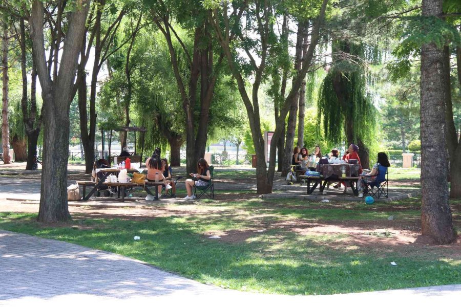 Sıcaktan Bunalan Soluğu Gölgede Aldı