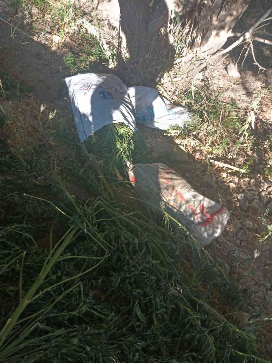 Asayiş Devriye Ekipleri 24 Kilo Hint Keneviri Ele Geçirdi