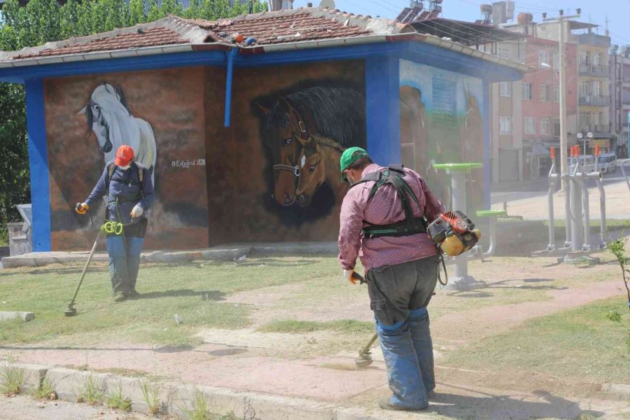 Toroslar Belediyesi Hayvan Sevgisi Duvarlara Taşıdı